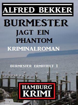 cover image of Burmester jagt ein Phantom